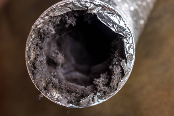 Best Affordable HVAC Duct Cleaning  in Salinas, CA