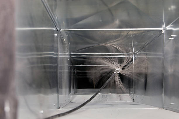 Best Air Duct Mold Removal  in Salinas, CA