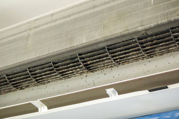 Best Affordable Duct Cleaning Services  in Salinas, CA